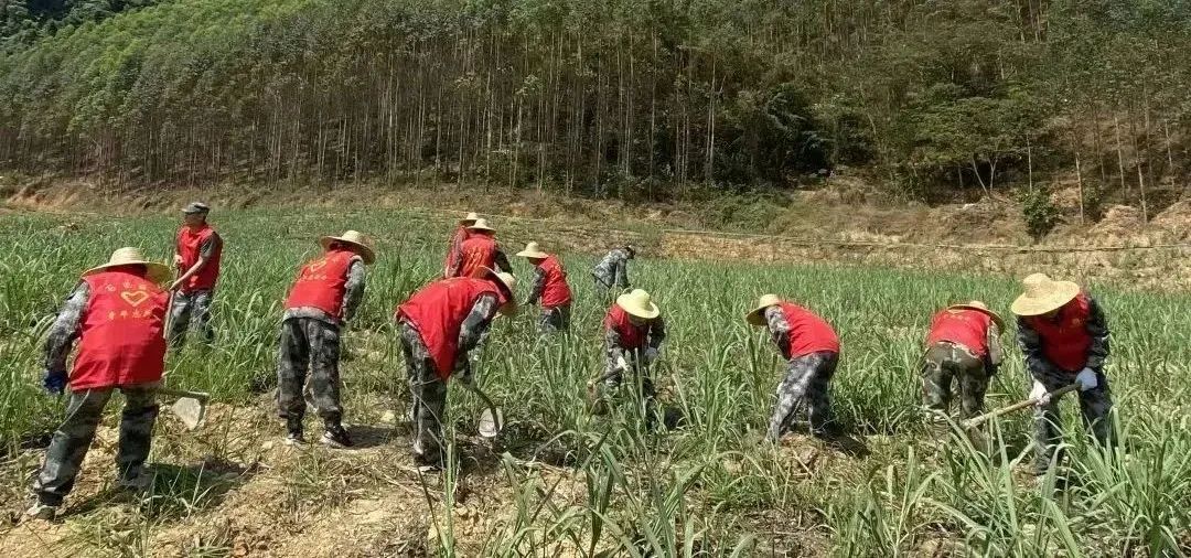 春耕5 春耕5